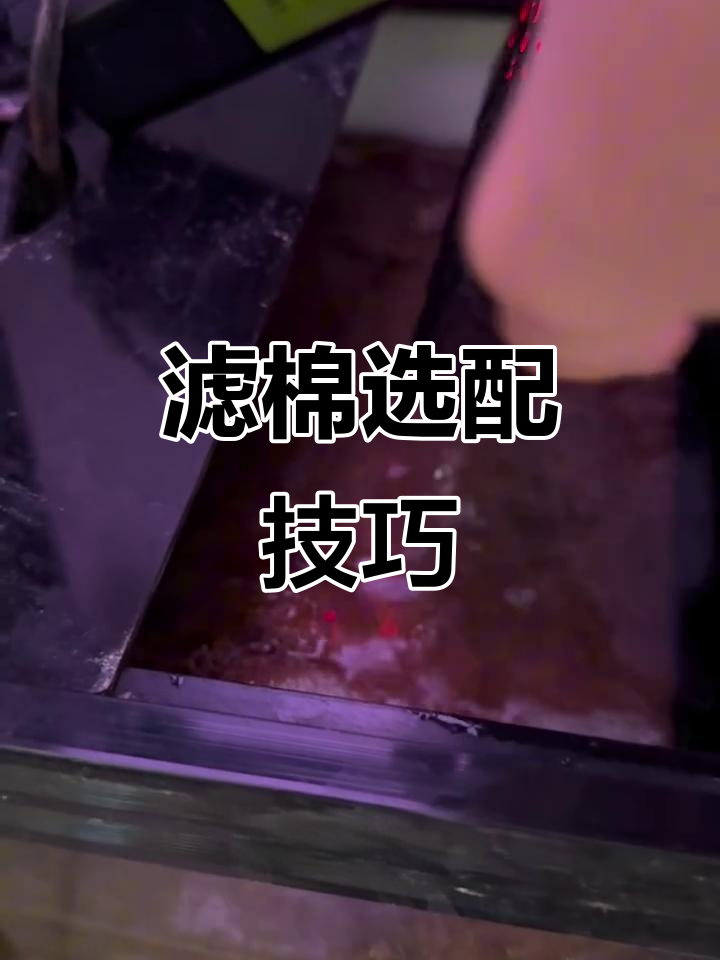 滤棉选择有窍门,羊绒与超滤搭配,轻松应对鱼缸残渣问题