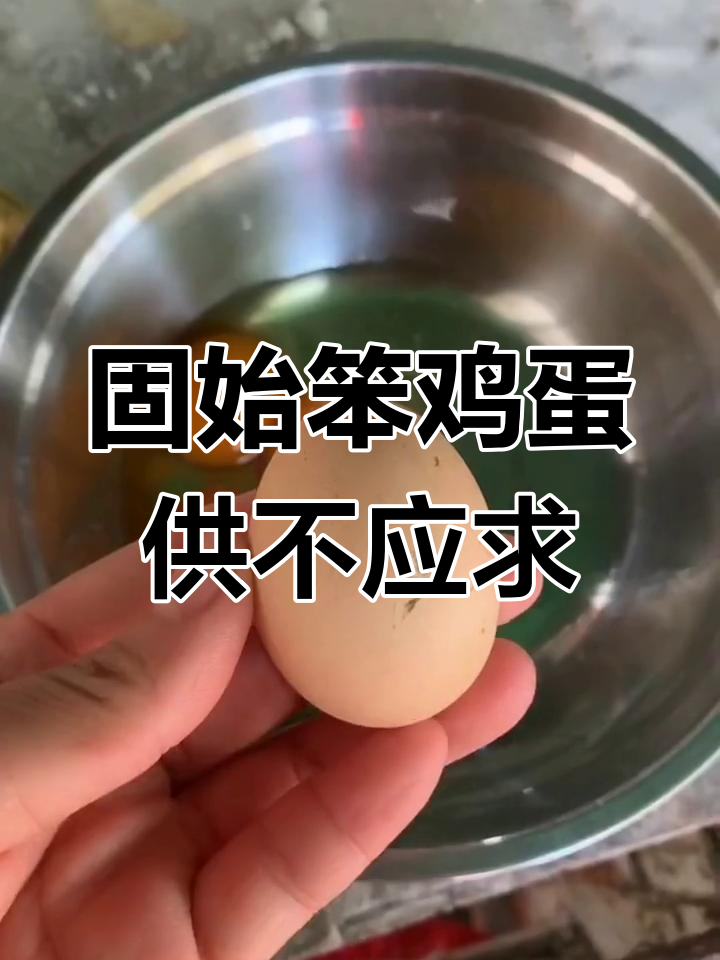 固始笨鸡蛋供不应求,订单发货慢,蛋黄超惊艳