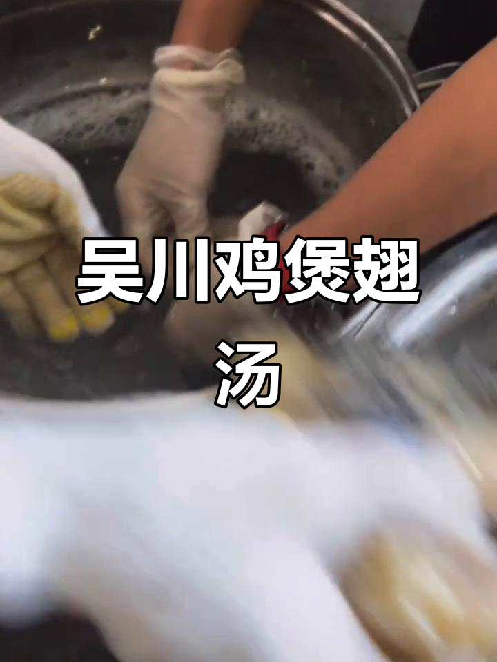 广东吴川鸡煲翅汤,暖胃又暖心,滋补美味一锅搞定