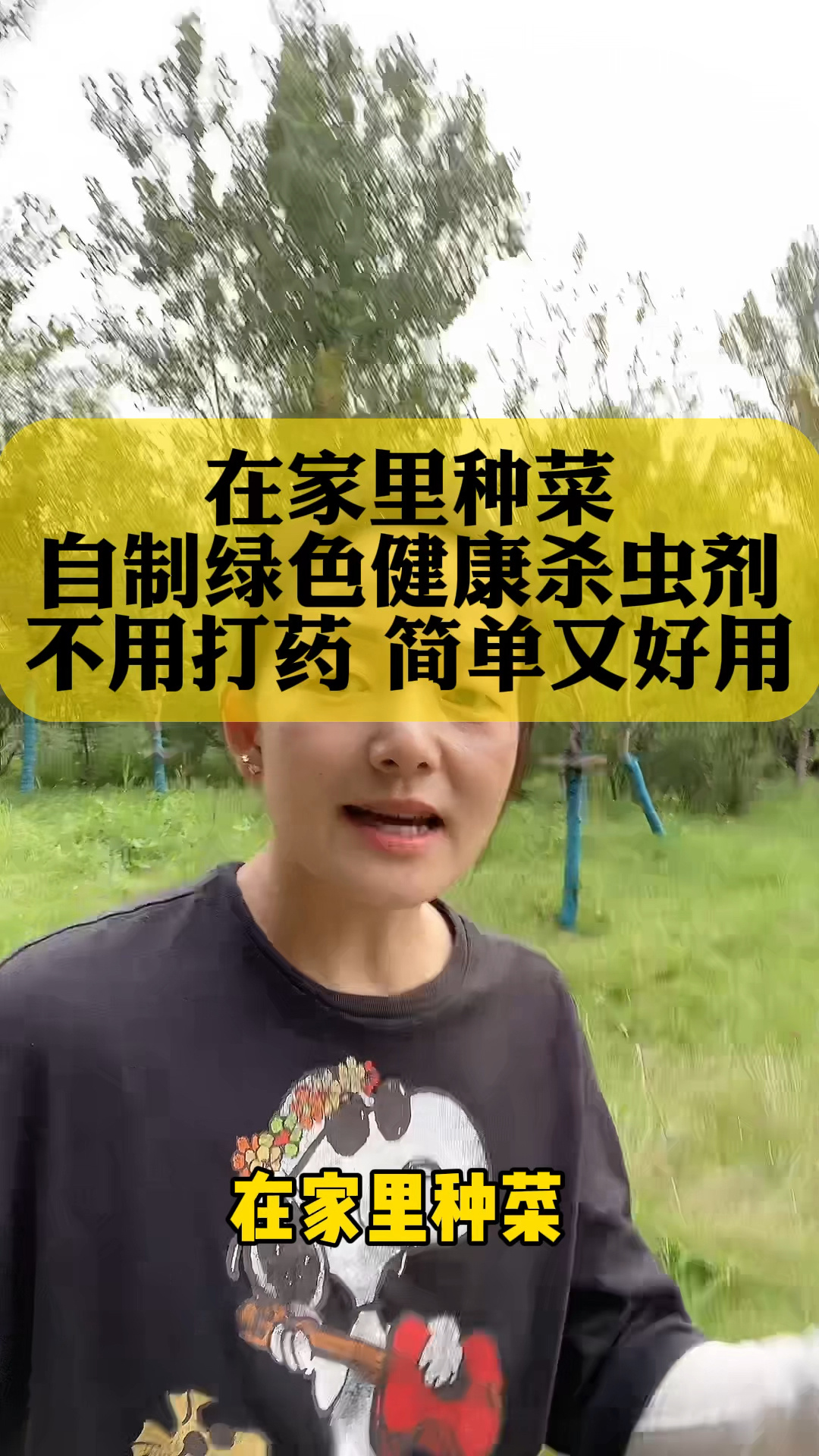 在家种菜 自制绿色健康杀虫剂不用打药