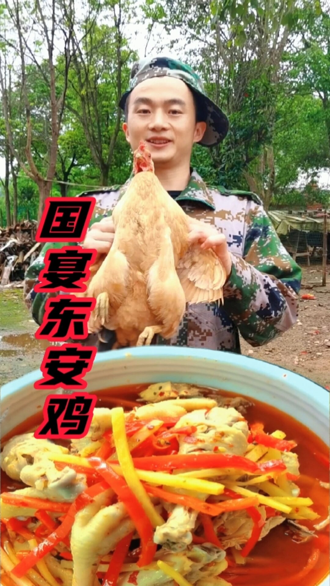 湖南湘菜名菜国宴东安鸡