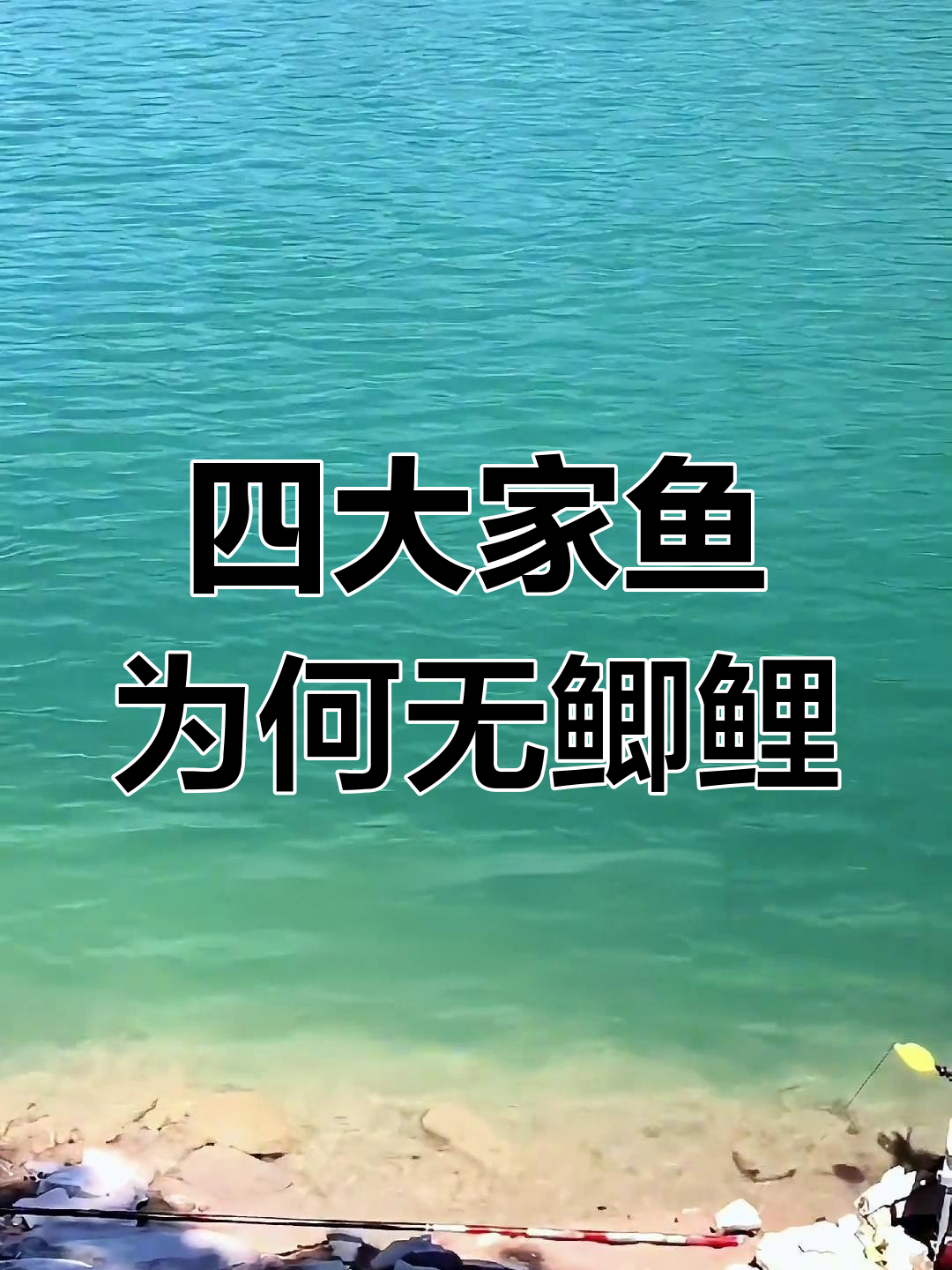 为什么鲫鱼和鲤鱼不是四大家鱼?