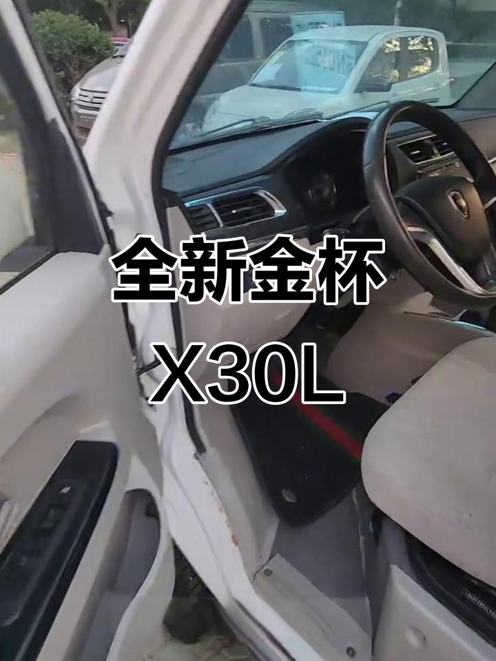 金杯X30L，倒车影像、空调齐全，轮胎新换，年审至27年