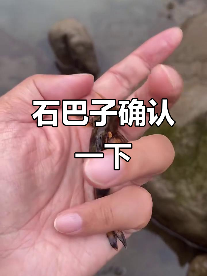 这是石巴子吗?看起来像,但不确定