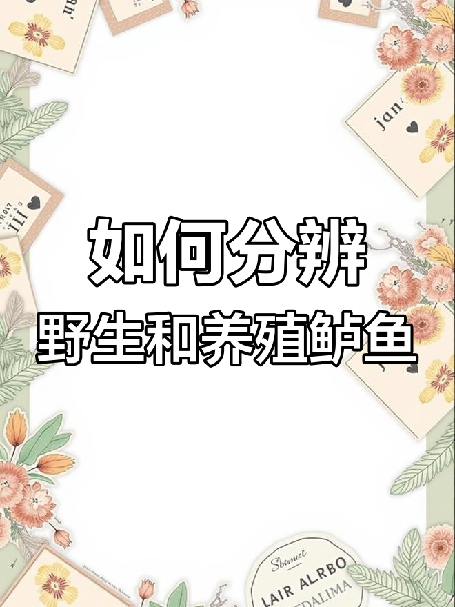 天然鲈鱼与养殖鲈鱼的辨别技巧,教你如何区分