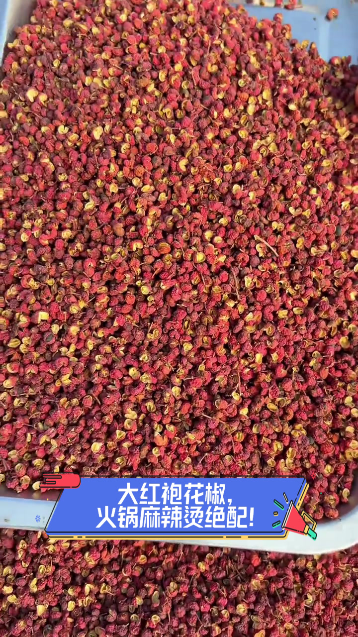 大红袍花椒,火锅麻辣烫绝配!
