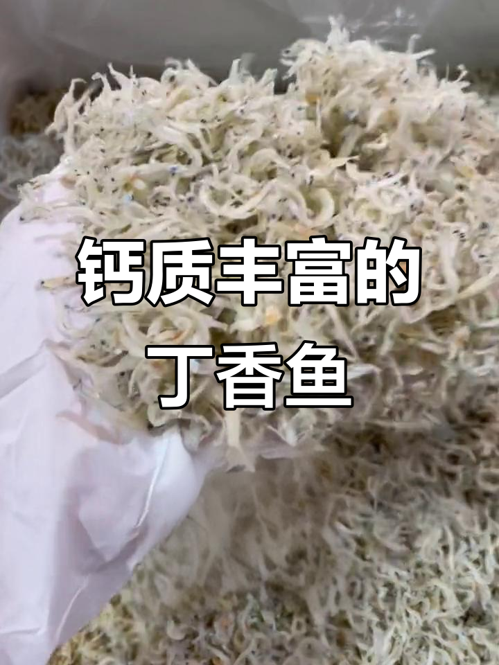 丁香鱼营养丰富,煎炒蒸皆宜,补钙佳品