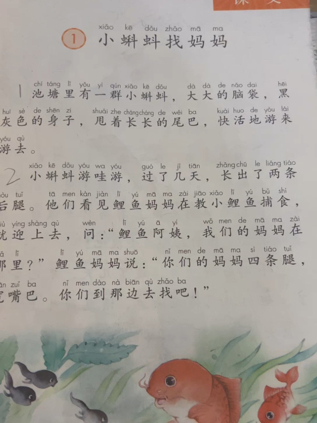 二年级语文上册小蝌蚪找妈妈阅读