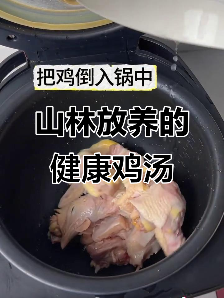 散养土鸡，山林泉水喂养，煲汤更美味