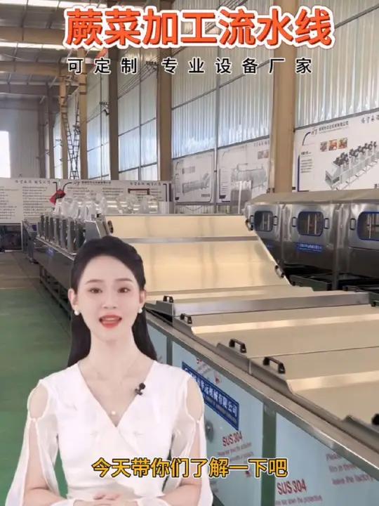 蕨菜加工流水线客户现场展示