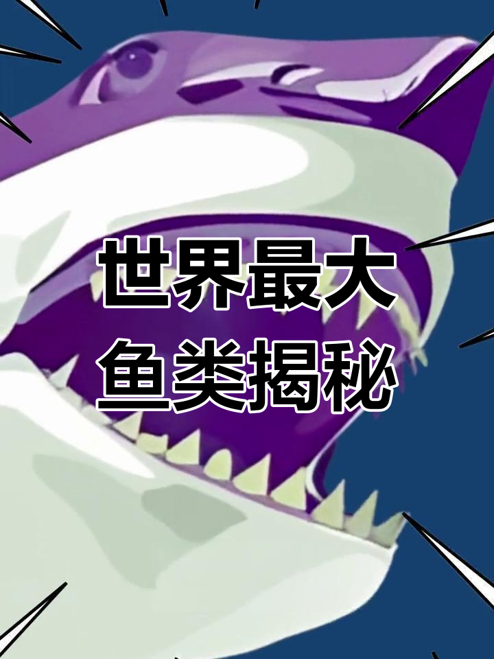 鲸鲨:世界上最大的鱼