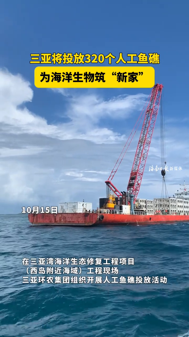 三亚将投放320个人工鱼礁,为海洋生物筑“新家”