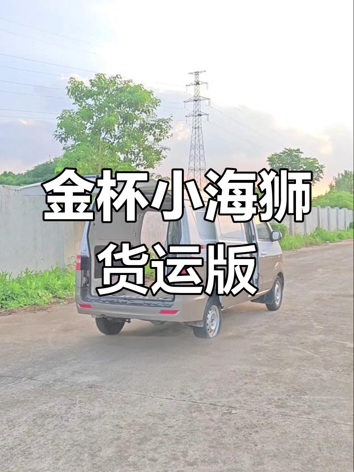 21年金杯小海狮X30货运版面包车,带空调双开门