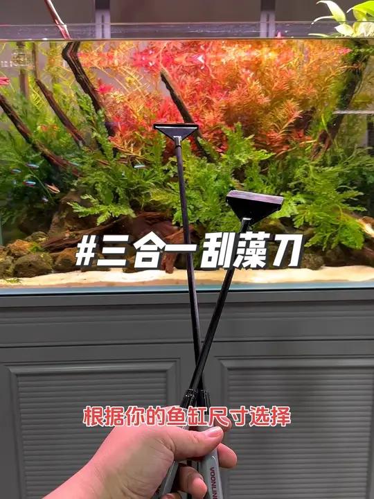 好用的三合一刮藻刀、清洁鱼缸轻松丝滑、现在下单铝合金板本还会赠送s+饲料试用装一包 鱼缸里