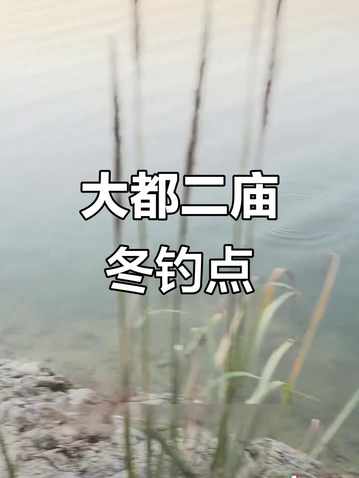 滩坑水库大都二庙钓点推荐,冬季钓鱼最佳位置