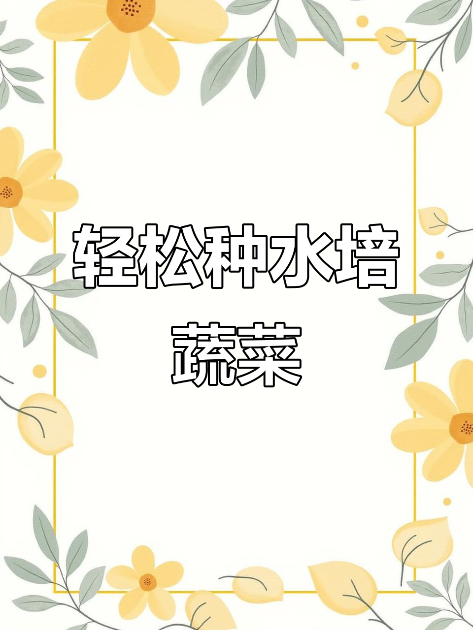 水培萝卜苗菜,简单又高效的种植技巧