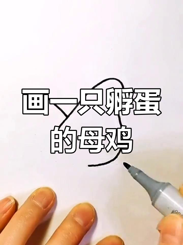 简单几步画出孵蛋母鸡