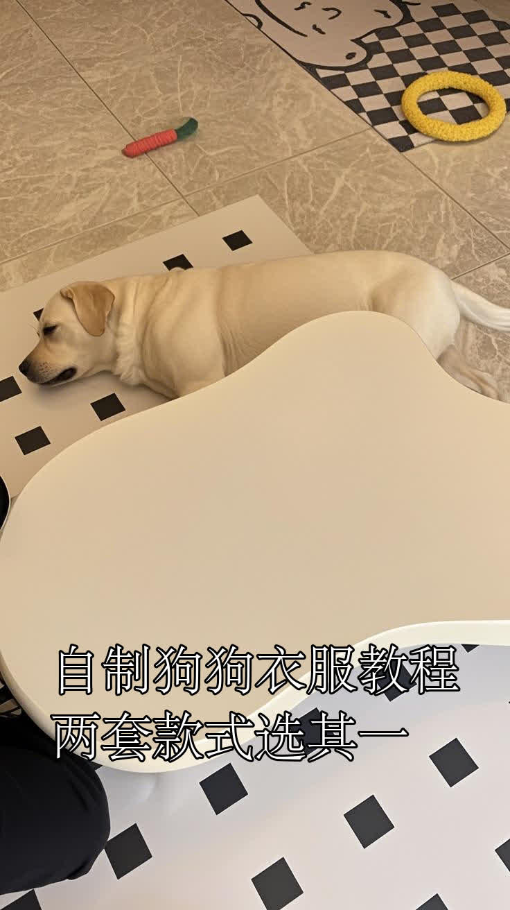 自制狗狗衣服教程,两套款式选其一