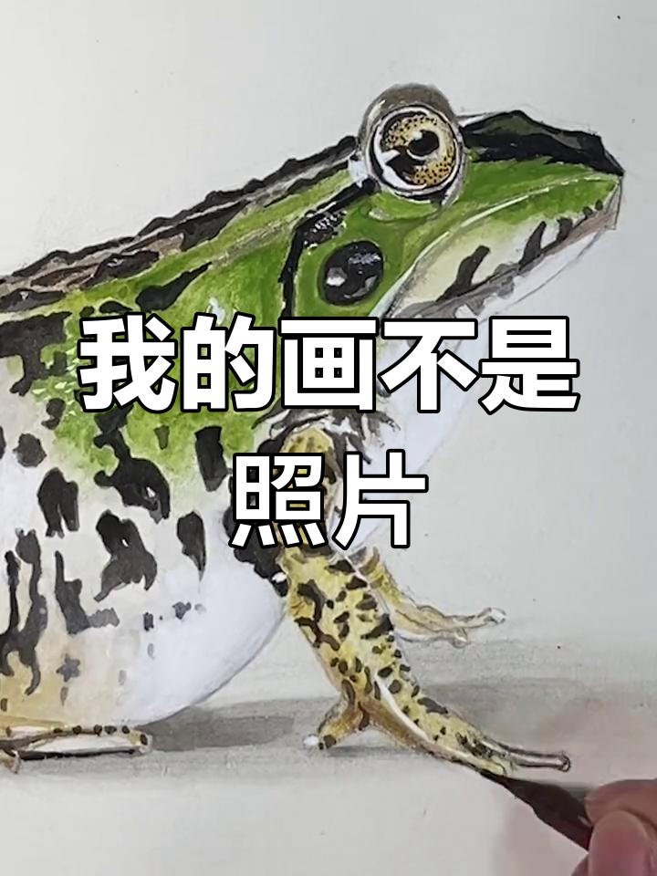 每次画画都被人当成照片,这次我让你们看看真正的艺术!