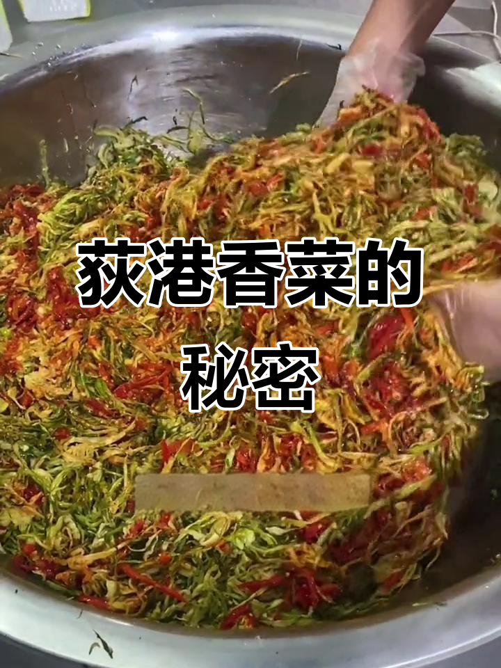 安徽独特美味,渡江才能尝到的荻港香菜,绝对让你回味无穷