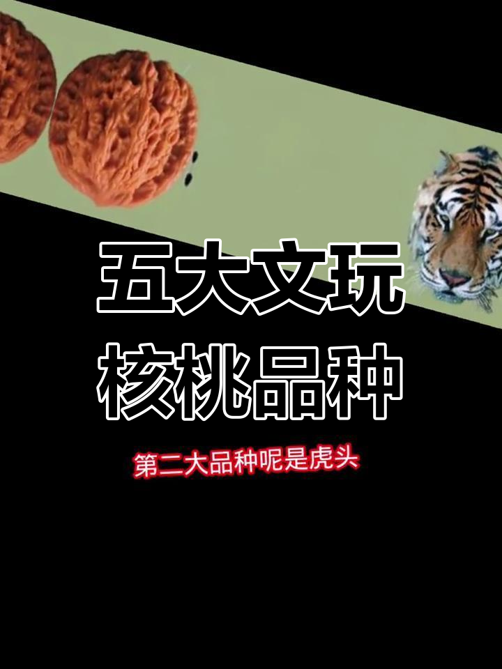 文玩核桃五大品种揭秘,鸡心、虎头、狮子头全解析