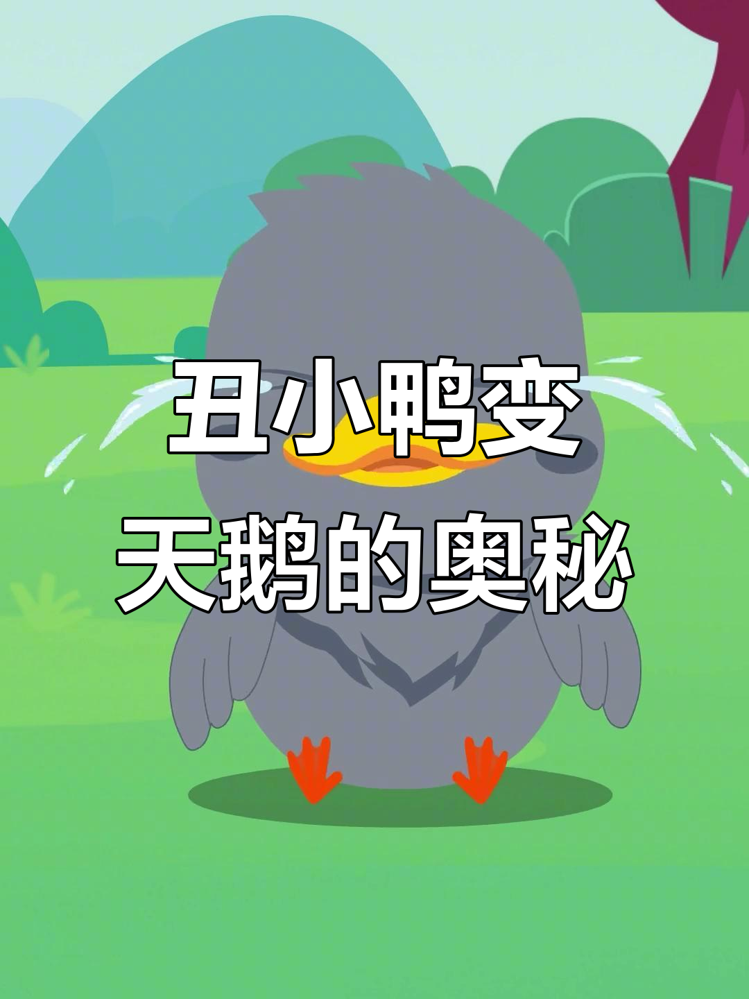 丑小鸭如何变成白天鹅？揭秘成长秘密