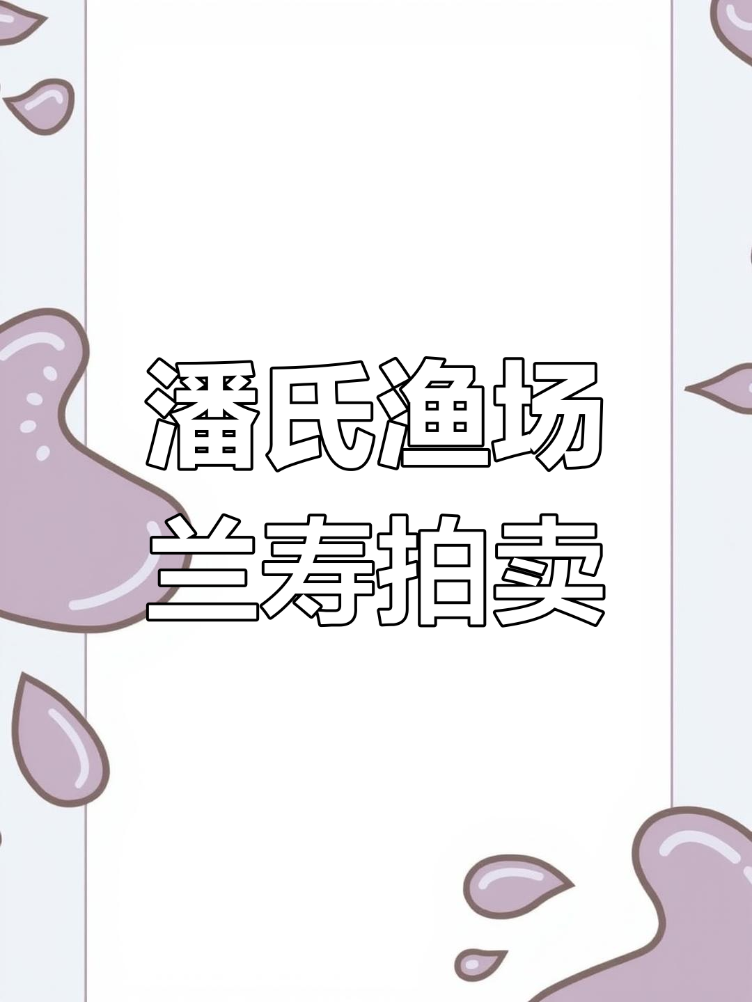 兰寿金鱼拍卖激烈,价格飙升至680万!