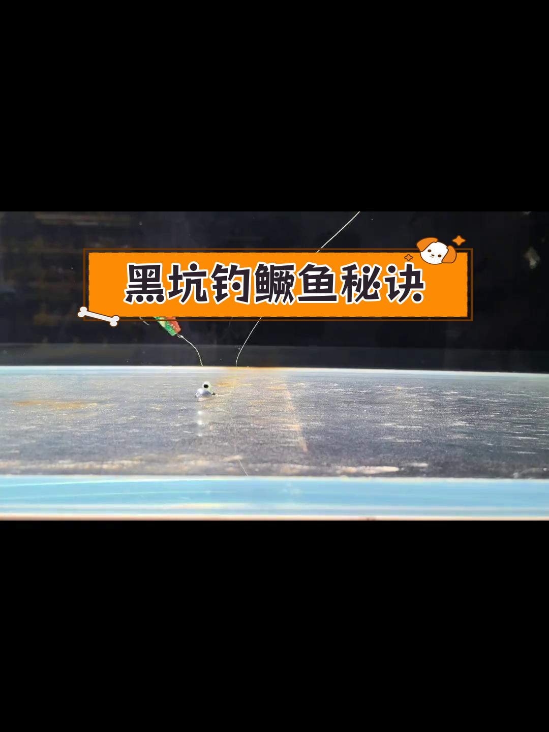 冬季黑坑路亚钓鳜鱼技巧:自由钓组最佳选择