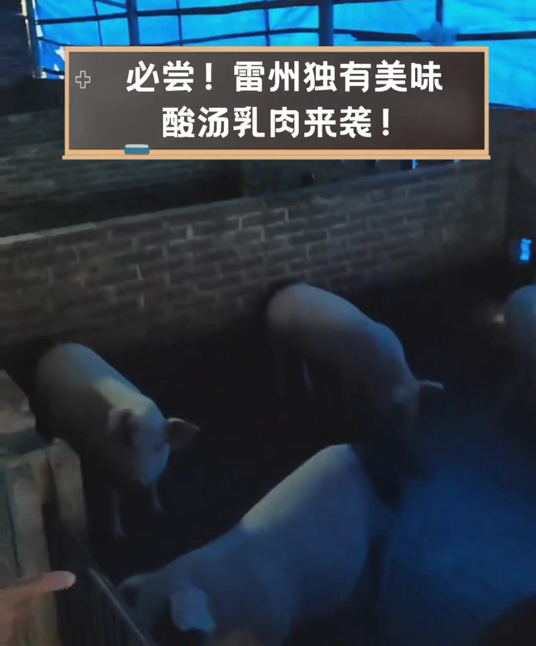 必尝!雷州独有美味,酸汤乳肉来袭!