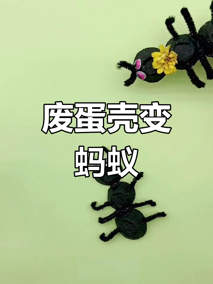 用鸡蛋壳做可爱小蚂蚁,亲子手工乐趣多