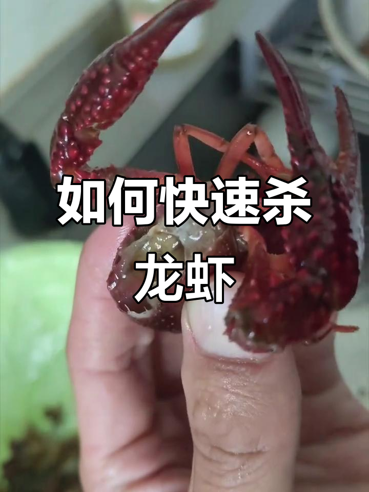 轻松杀龙虾,教你正确步骤