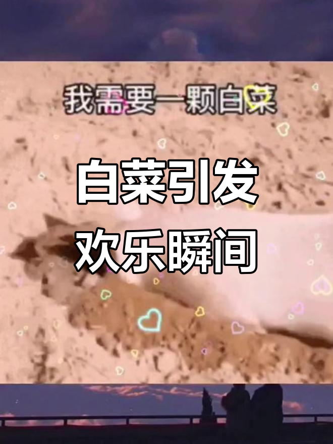 一颗白菜引发的表情包大战,笑到不行!