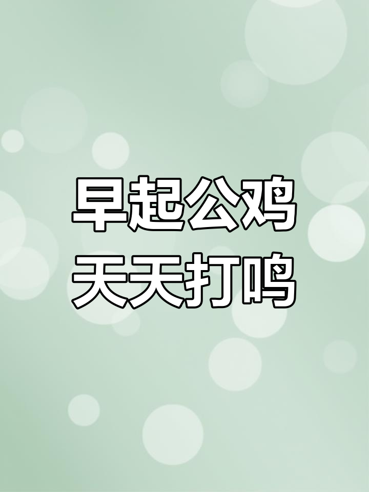 6月8日公鸡早上准时“叫醒”,节假日无休