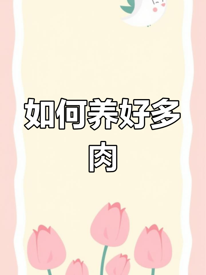 景天科多肉养护全攻略,轻松掌握小清新植物照料技巧