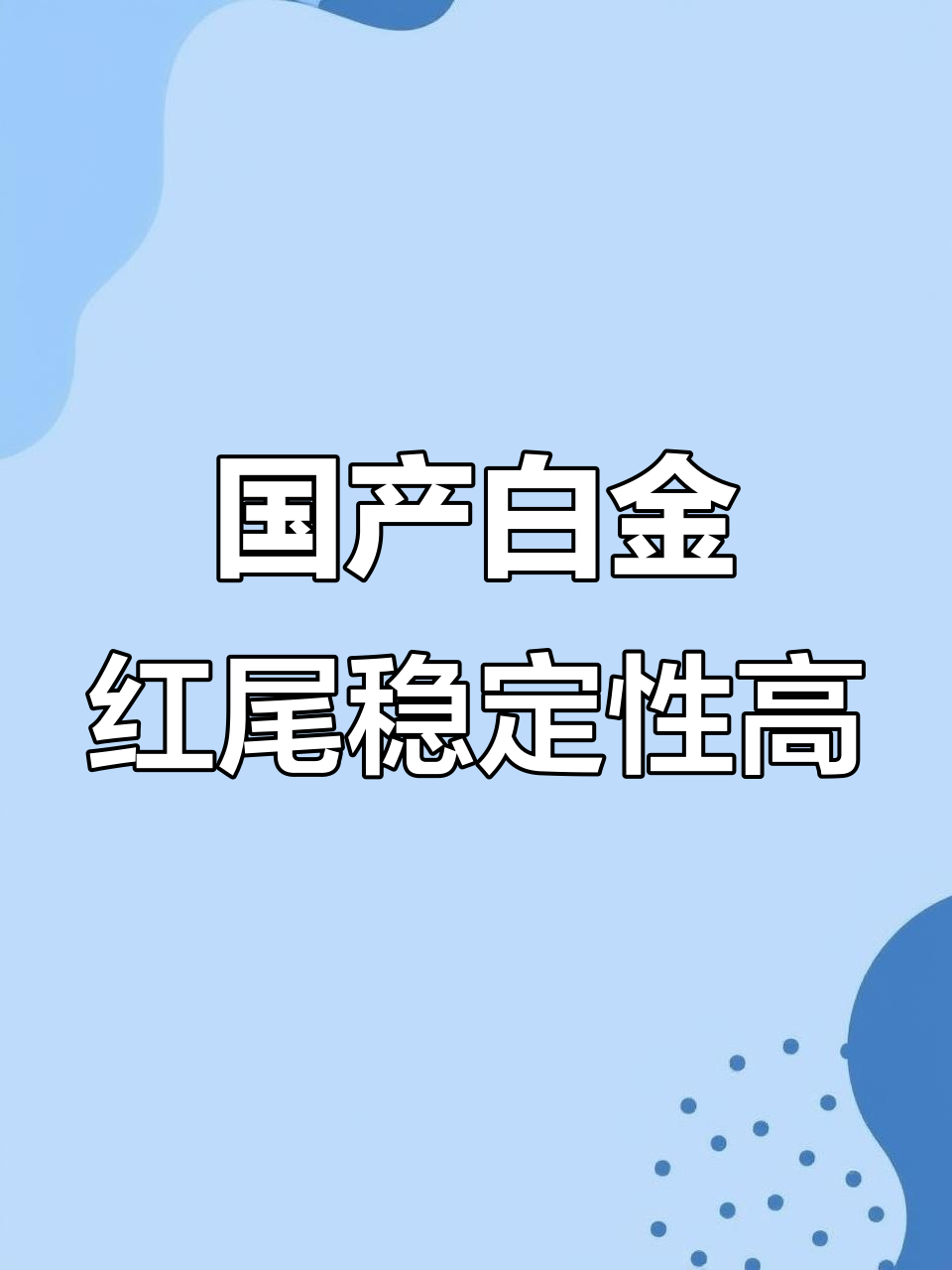 华系白金红尾：稳定、一致，三个月大凸体全纪录