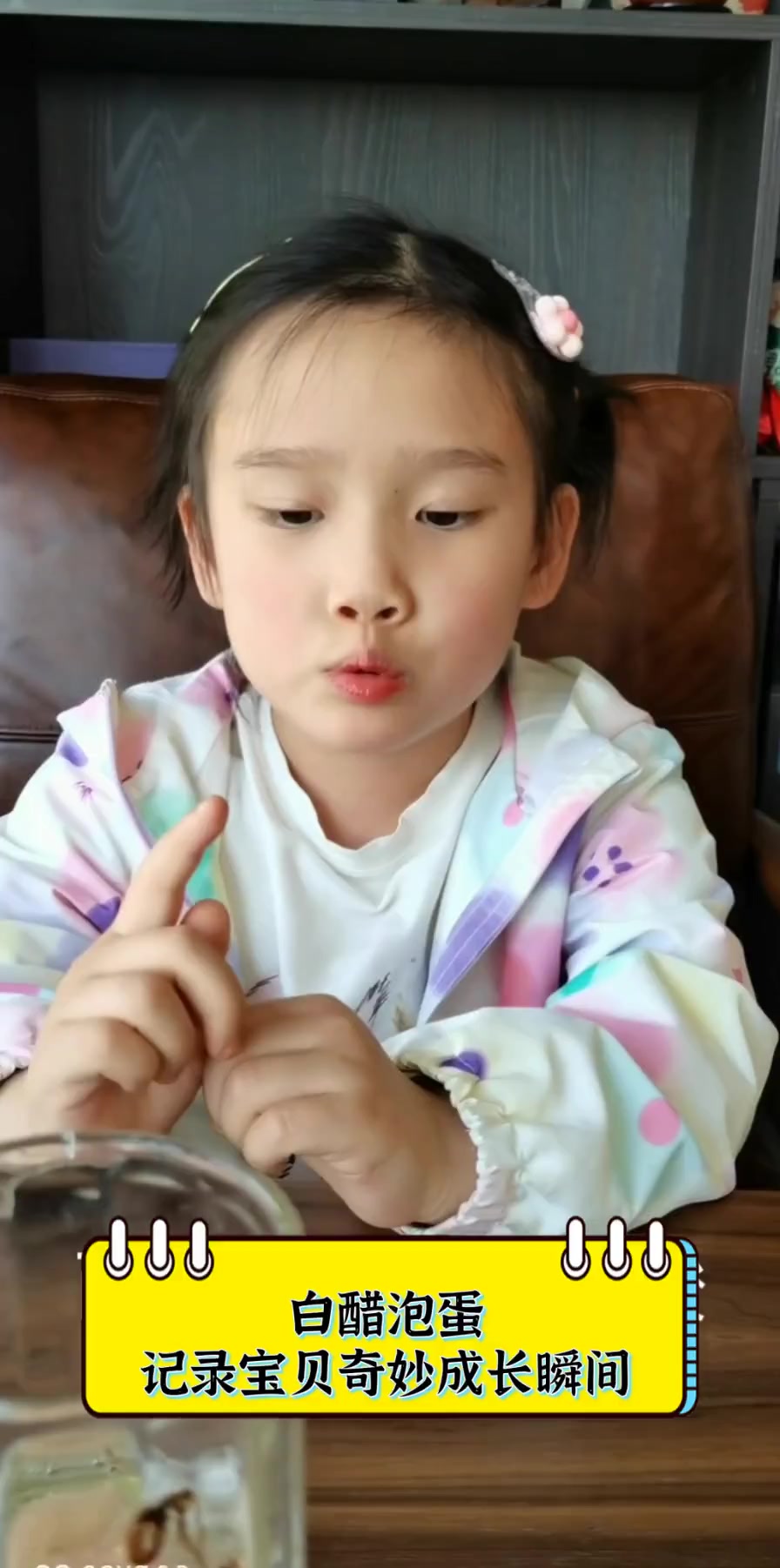 白醋泡蛋,记录宝贝奇妙成长瞬间