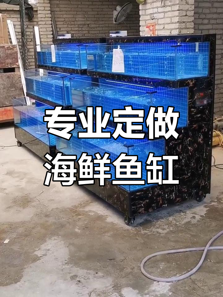 移动式海鲜鱼缸定制,支持多种功能