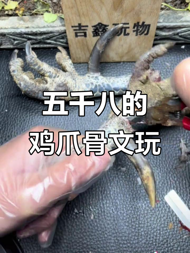 老板花五千八买大公鸡爪,代加工成文玩宝贝