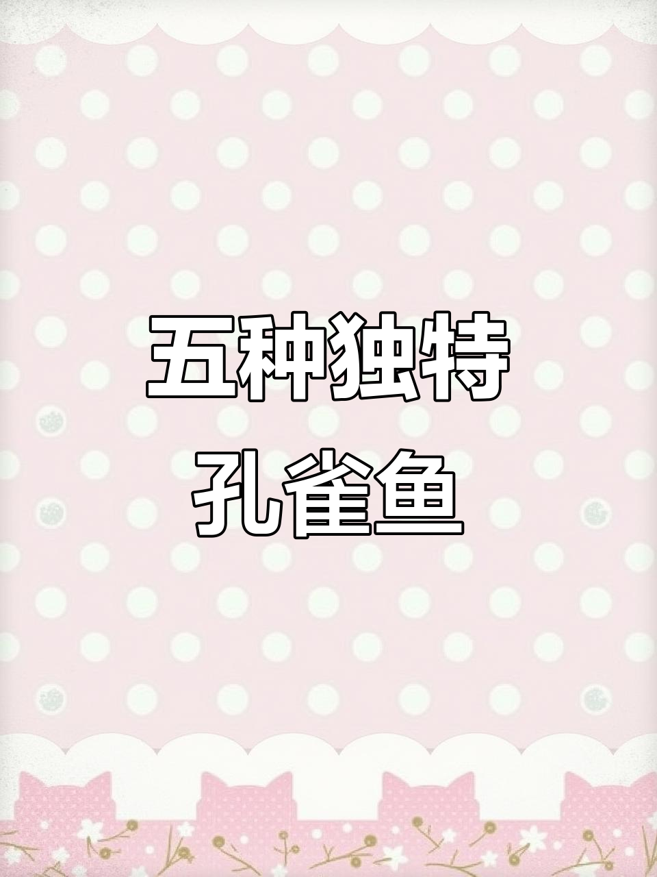 揭秘五种稀有孔雀鱼品种，颜值与寓意并存