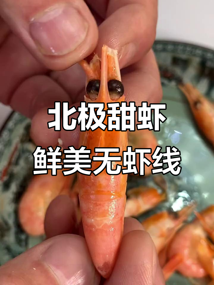 北极冰虾:深海美味,营养满满,无需二次加工