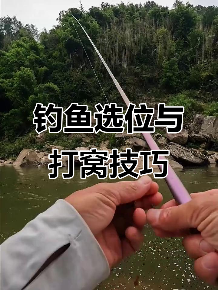 溪流钓石斑鱼,打窝技巧揭秘