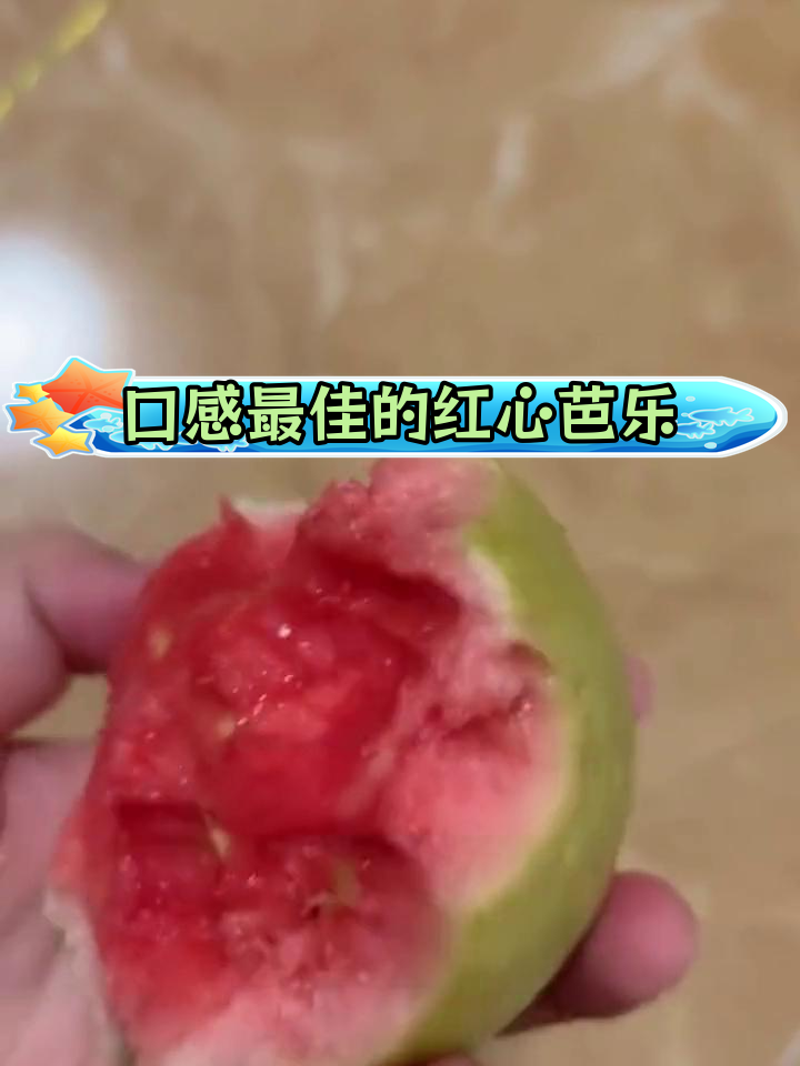 红宝石芭乐品种推荐,生吃脆甜熟软糯
