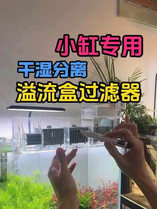 小缸专用干湿分离盒过滤器 S型走水相当于一个小型底滤,但是不要高密度养鱼