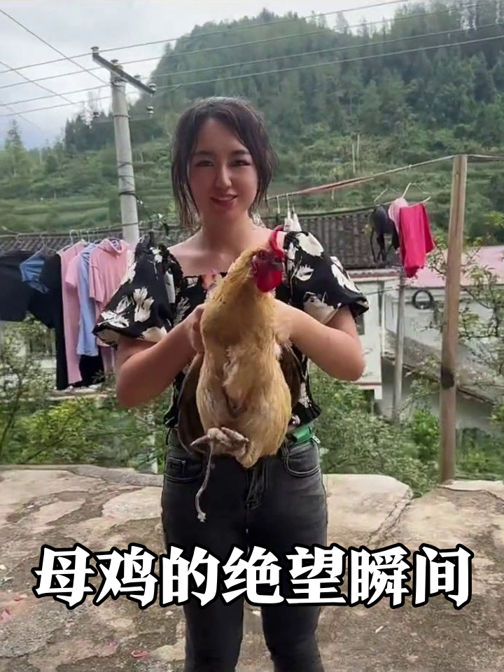 女子抓鸡反被‘拿捏’，联手杀鸡操作太丝滑笑翻网友
