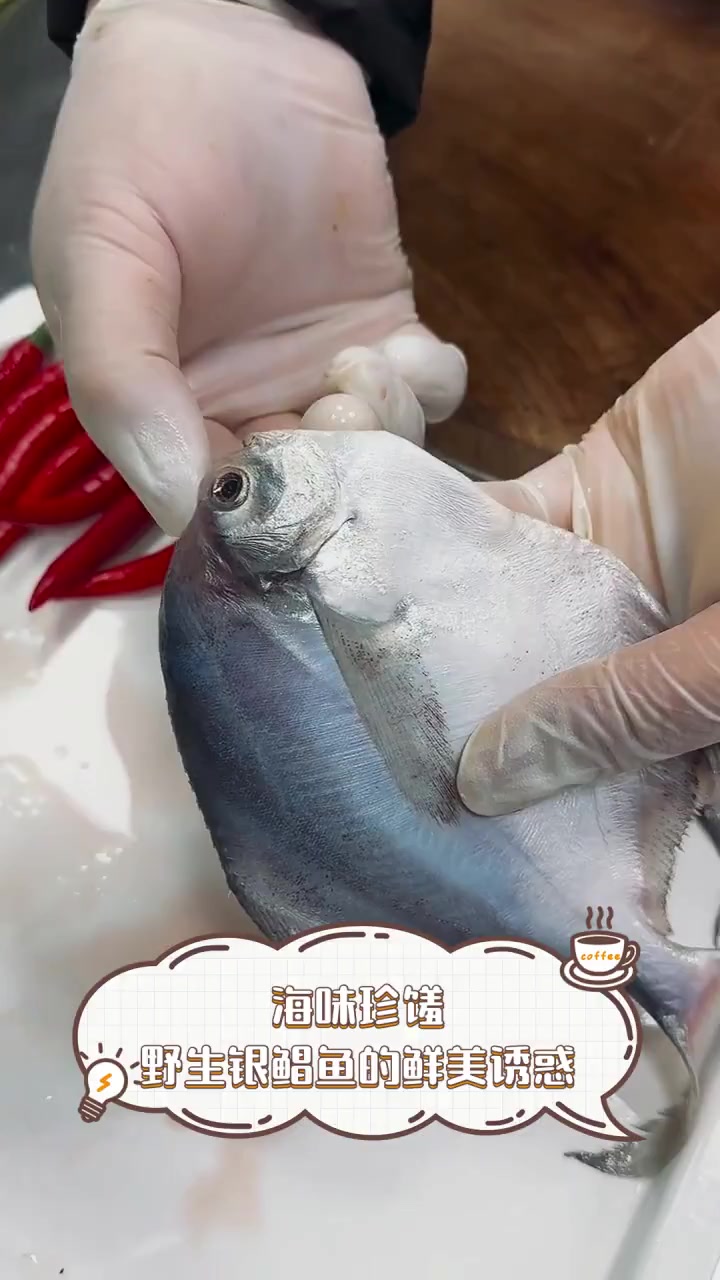 海味珍馐,野生银鲳鱼的鲜美诱惑