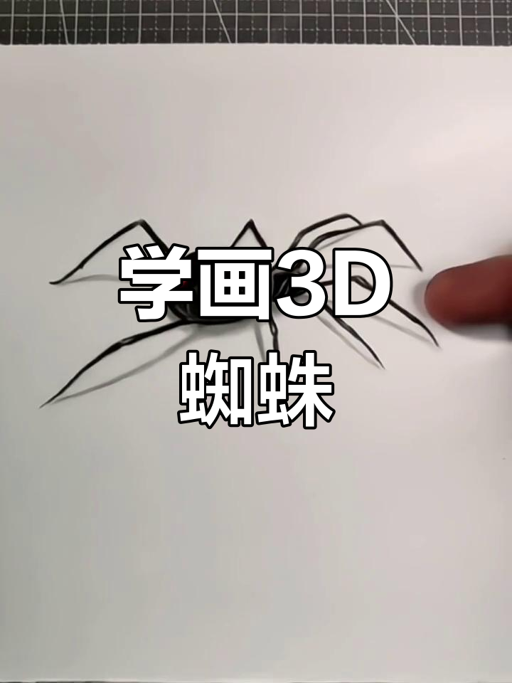 简单蜘蛛简笔画教程
