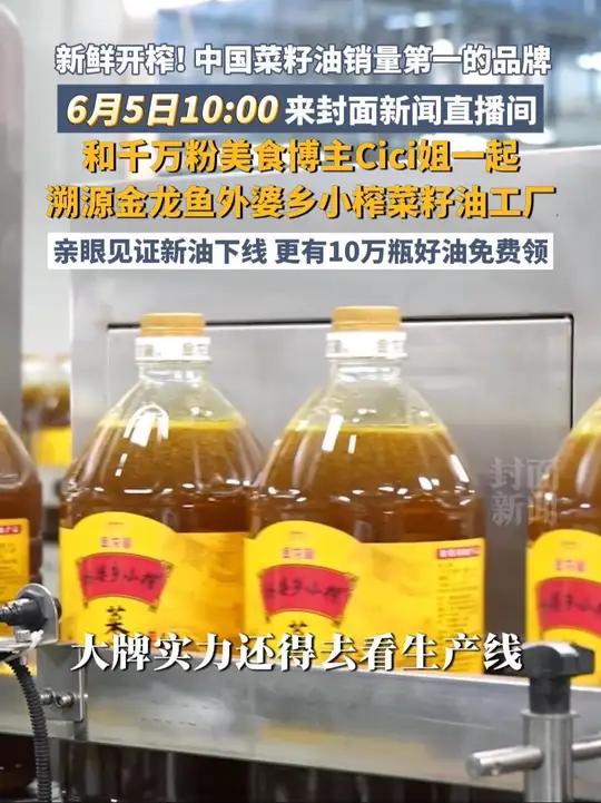 沉浸式体验外婆乡小榨新油开榨咯!千万粉Cici姐带队,必打卡!