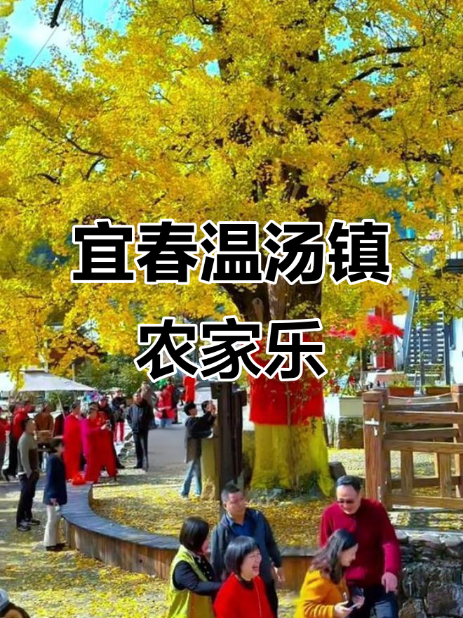 宜春温汤镇农家乐,富硒温泉+包吃住玩转明月山