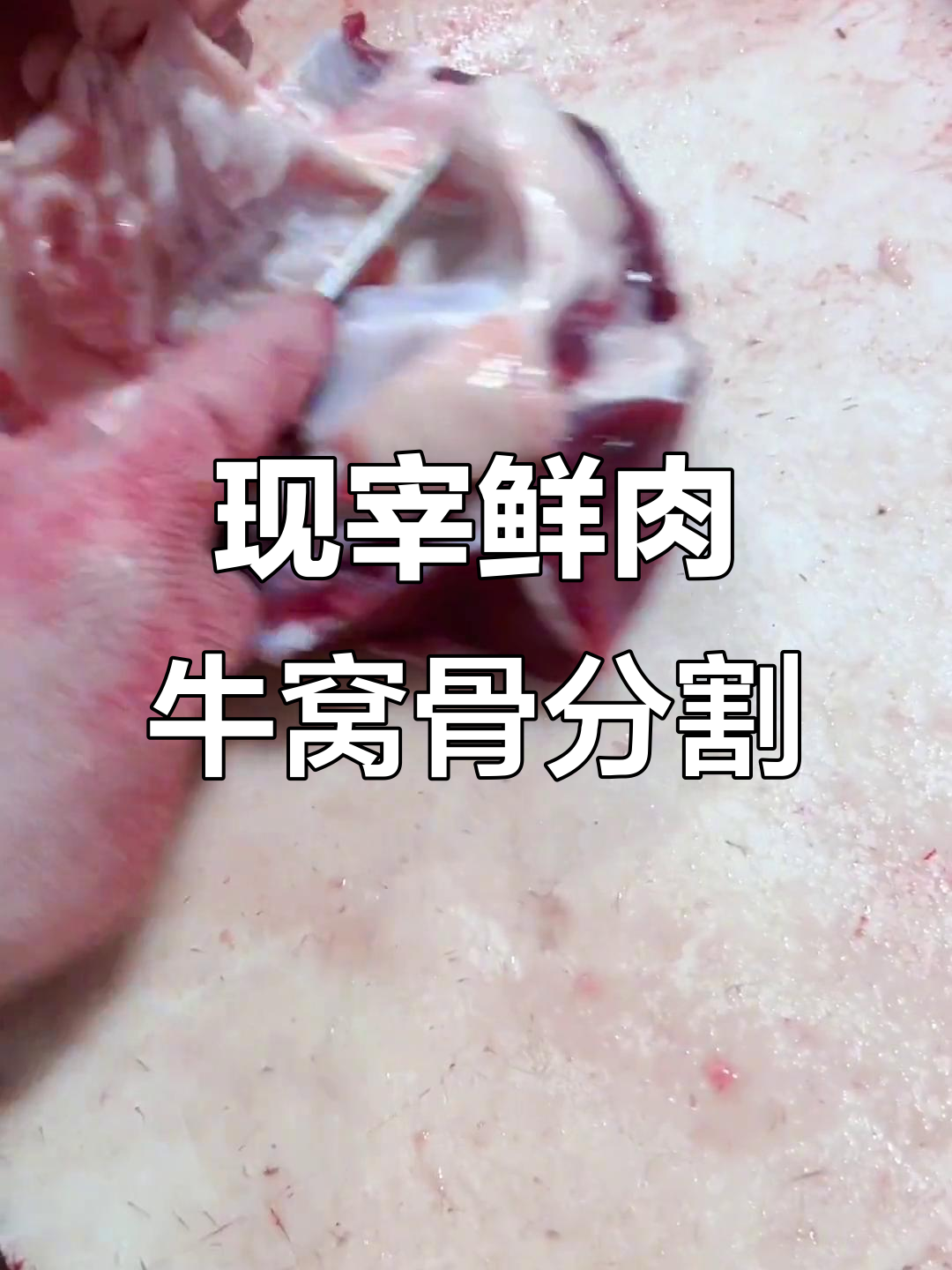 每天新鲜屠宰,牛窝骨去油分割,现宰黄牛肉排酸直播