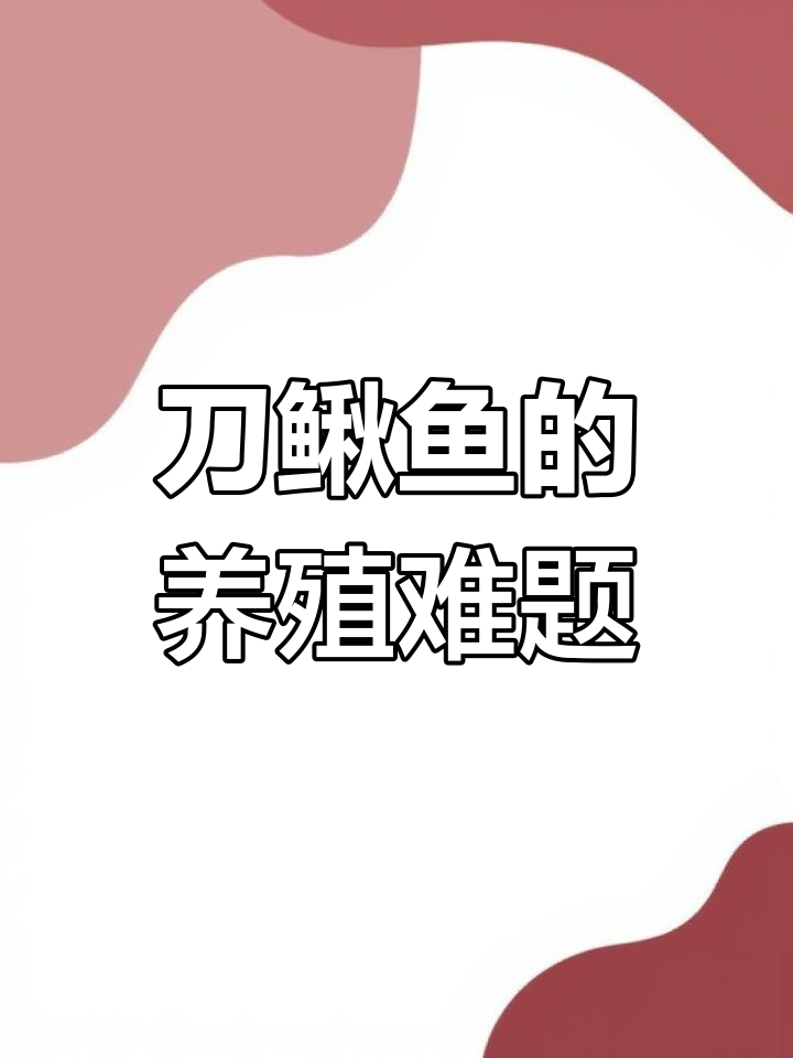 刀鳅鱼为何难养殖?